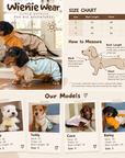 Adventure Shell Lightweight Pet Windbreaker