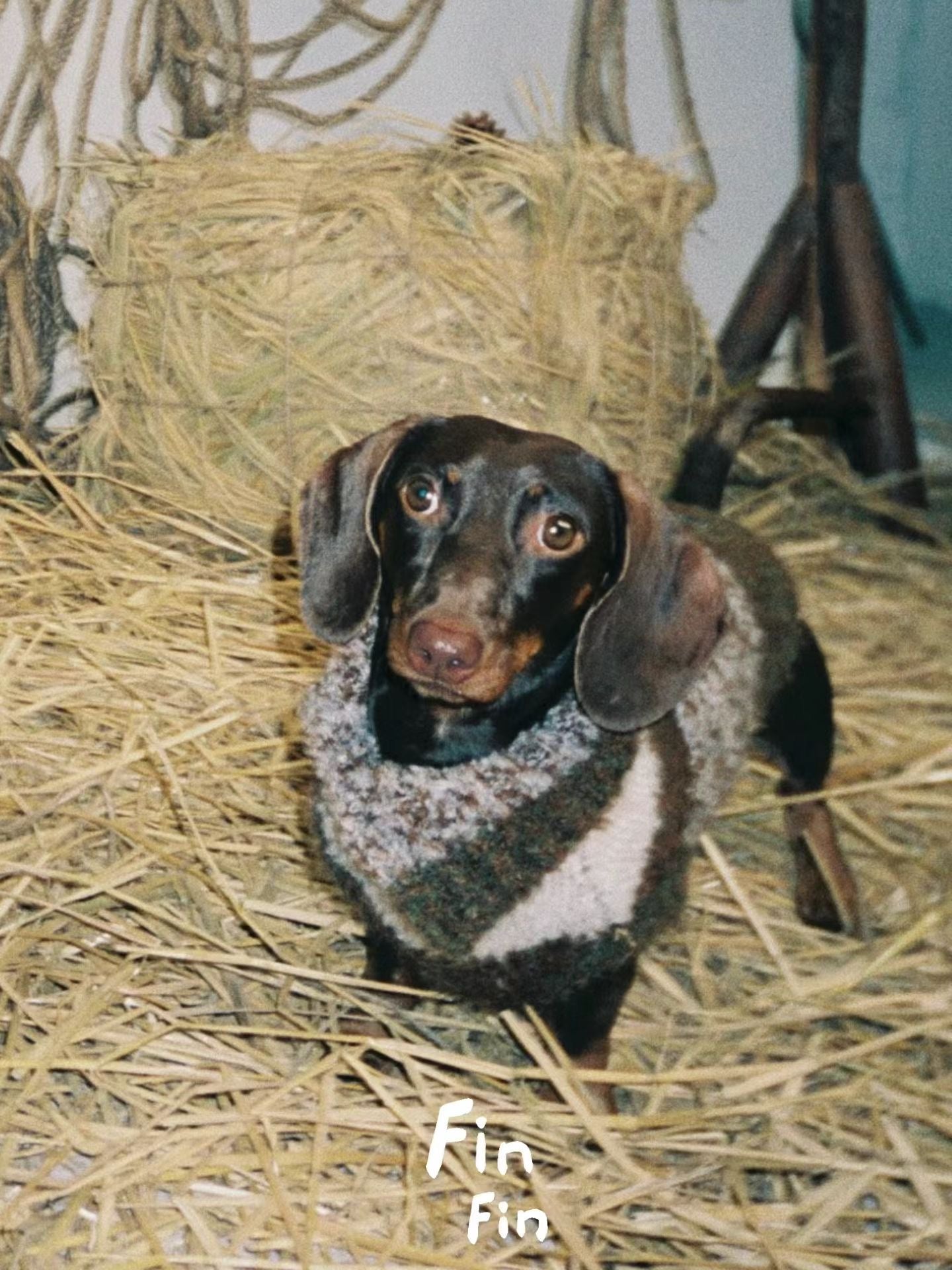 Wheatfield Plaid Fleece Pullover