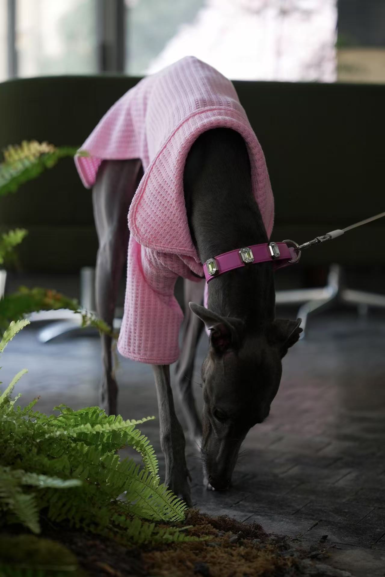 Rixchic Pink Sweater