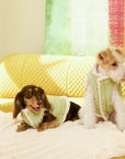 Fresh Toast Reversible Puffer Coat