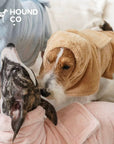 Plush Quick-Dry Pet Bath Robe