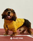 Golden Trail Rain Suit