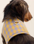 CloudFit Plaid Sponge Harness
