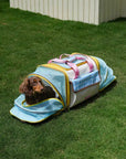 Candy Pop Travel Carrier