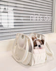 Lumi Travel Pet Carrier