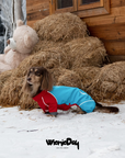 Alpine Après-Ski Jumpsuit