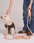 Hands Free Dog Leash Adjustable Pet Leash for Walking