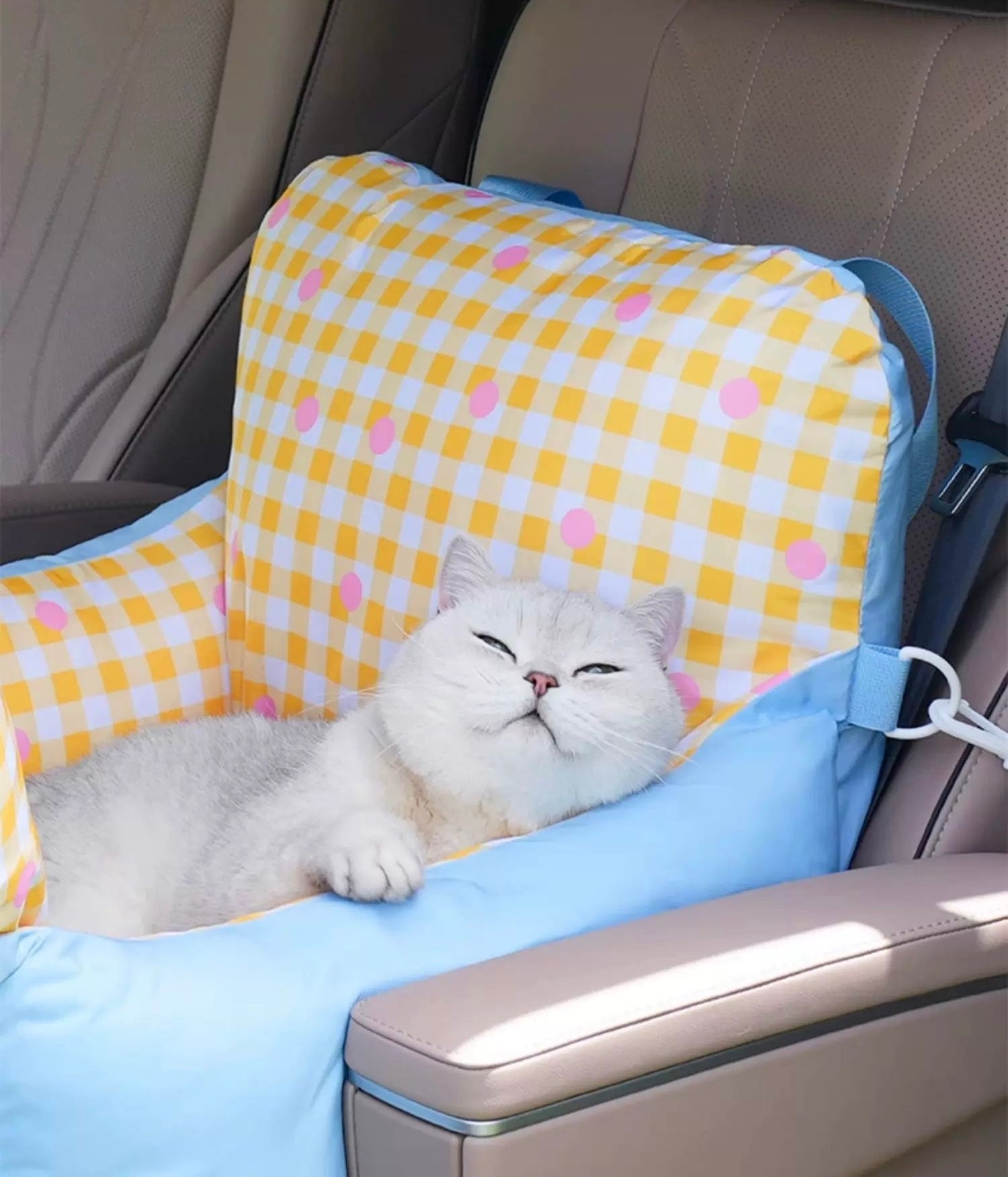 BubbleBloom Convertible Pet Picnic Bag