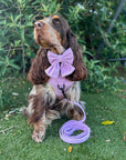 Lavender Daze adjustable harness