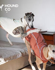 Summit Breeze Cooling Vest