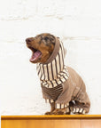 Caramel Stripe Four-Legged Hoodie