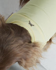 Butter Bunny Cooling Vest