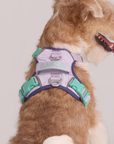 Adjustable No-Pull Dog Harness