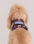 Adjustable No-Pull Dog Harness
