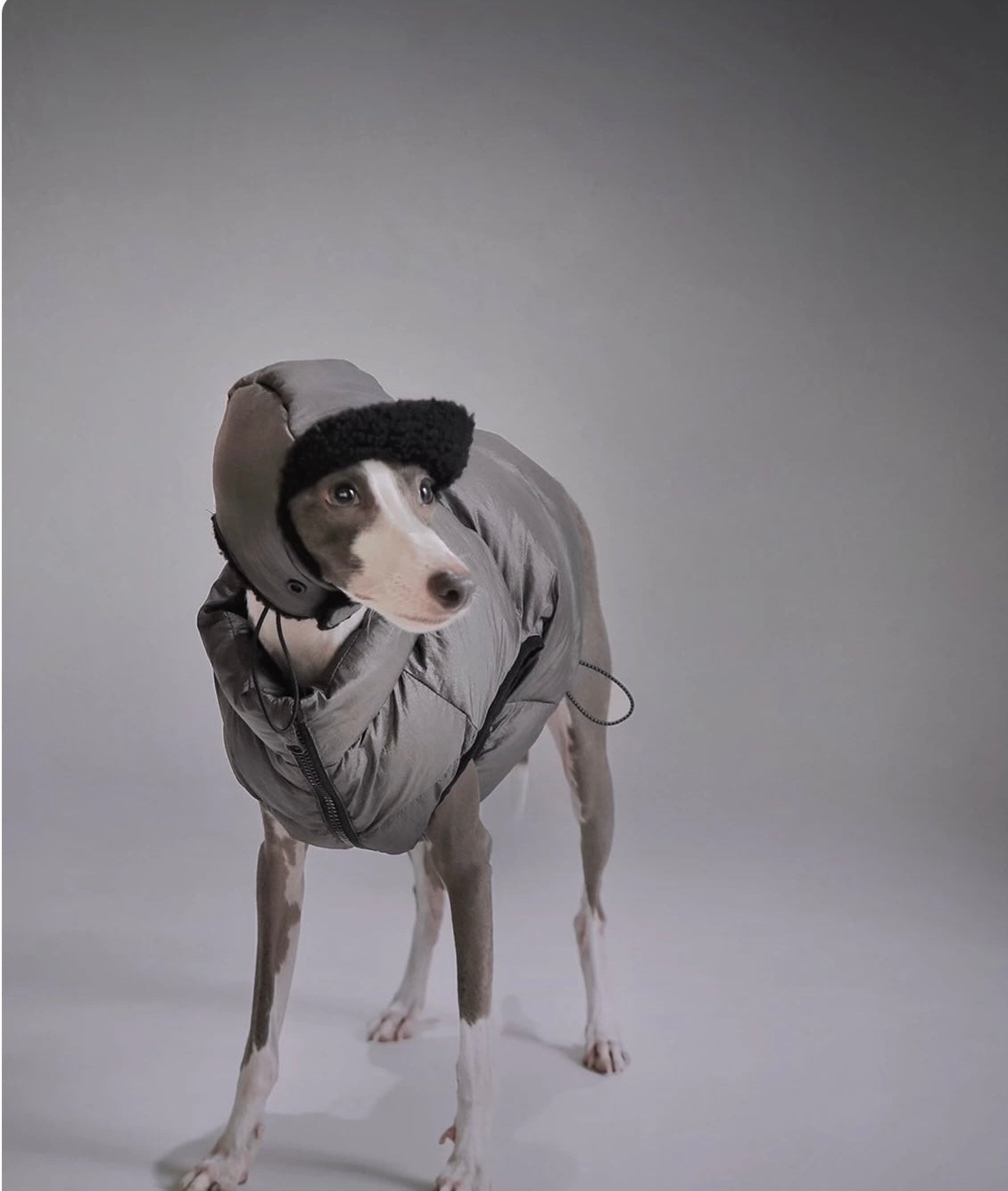 Galactic Winter Vest & Ushanka