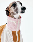 BreezeGuard Rainwear