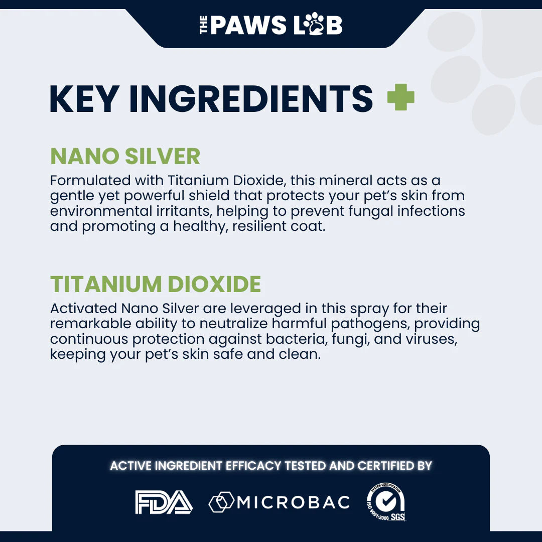 N’4 Daily Protection Spray