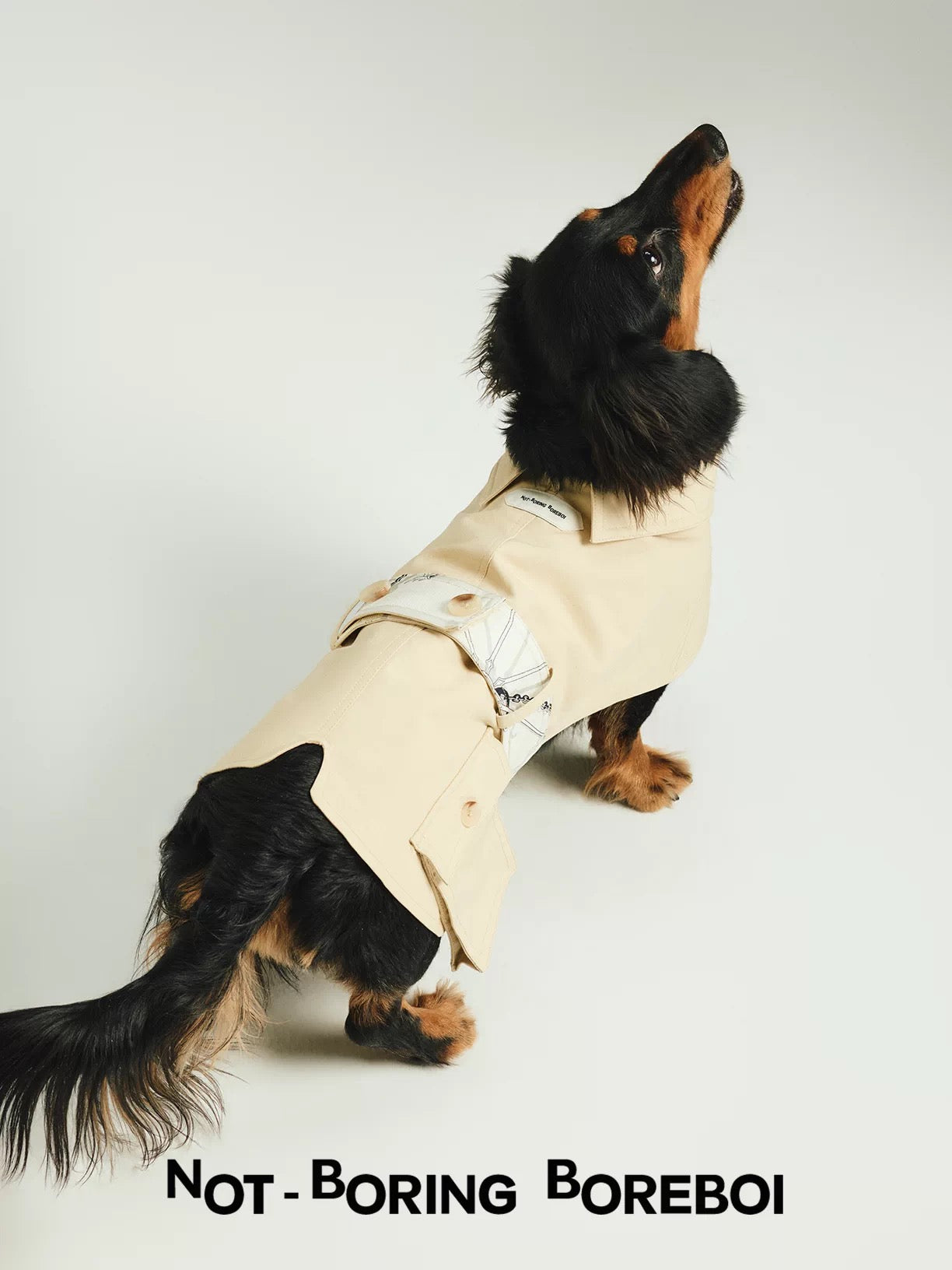 Signature Atelier Trench Pet Coat – Pawelier