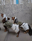 Little Ranger Backpack Harness