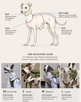 Little Ranger Backpack Harness