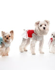 Cherry Pirouette Pet Dress