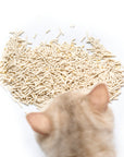 Cococat Plant-based Tofu Cat Litter