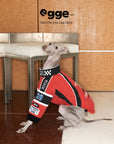F1 Racing Puffer Suit