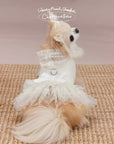 Odette Tutu Cooling Dress