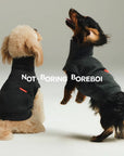 Minimal Essential Wool Blend Pet Vest