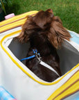 Candy Pop Travel Carrier