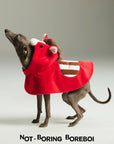 Year of the Horse Pet Hooded Cape