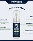 N’5 Dry Shampoo