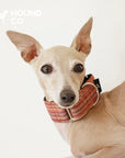 Martingale Yarn-Dyed Collar