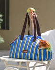Gelato Stripe Carrier