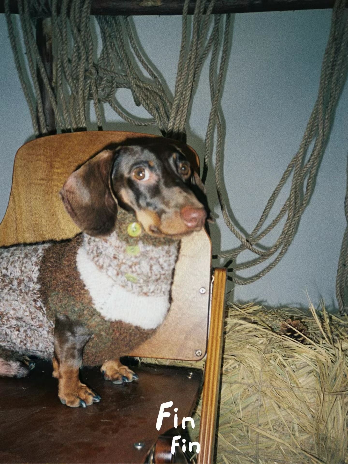 Wheatfield Plaid Fleece Pullover