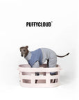 Marl Stripe Snuggle Pet Onesie