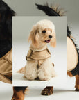 Minimal Suede Classic Pet Jacket