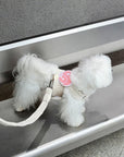 Luxury Soft Ribbed Pet Harness