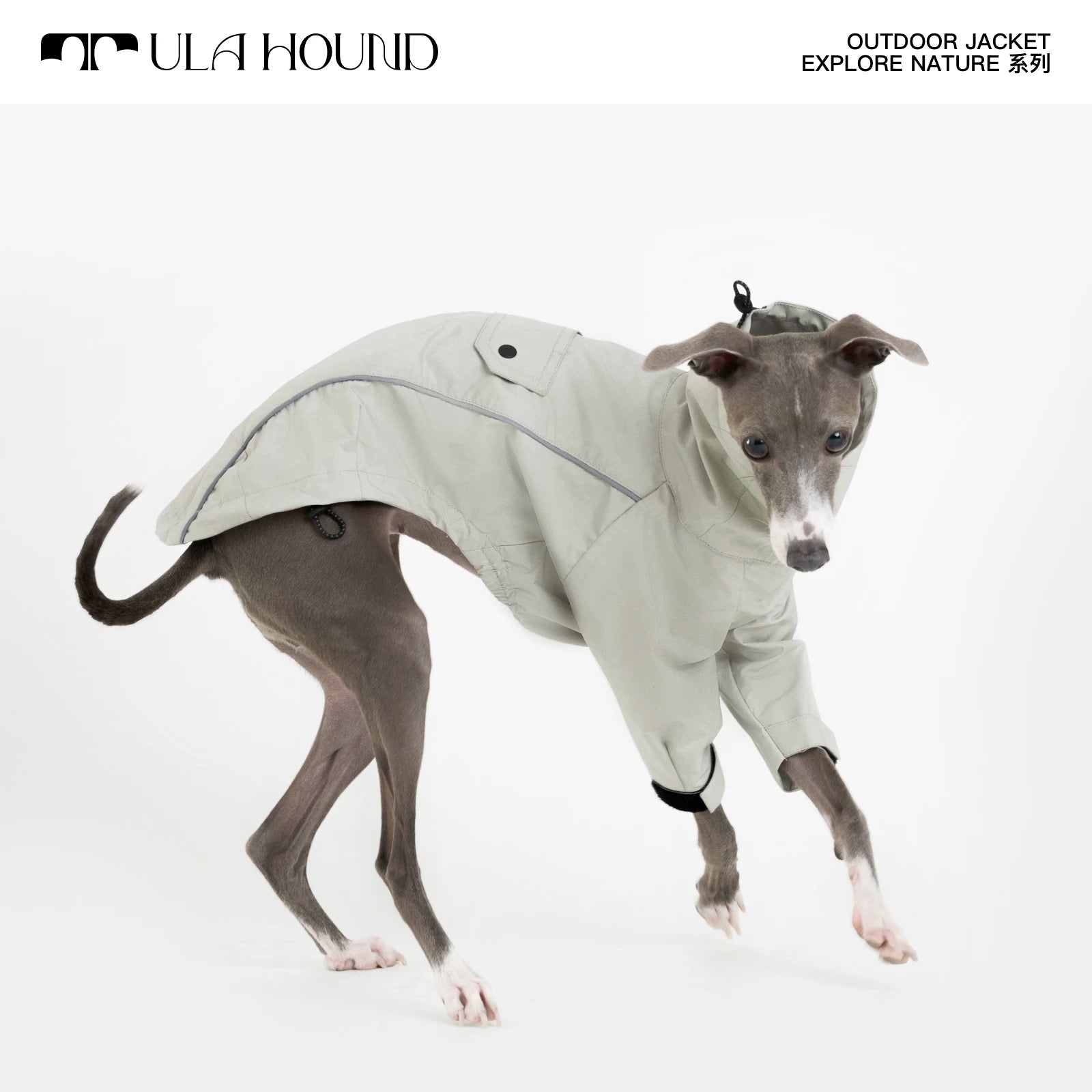 Trailblazer Adventure Jacket