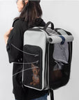 Explorer Backpack