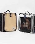 Explorer Backpack