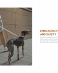 CHOCOLÉASH - ChocoGrip 3-in-1 Smart Leash (PRE ORDER)