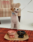 Elevated Ceramic Dog Bowl Cute Raised Pet Bowl