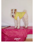 Little Artist Pup Vest