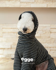 Winter Explorer Apparel Bundle