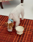 Elevated Ceramic Handmade Raised Pet Feeding Bowl