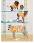 Honey Stripe Knit Pet Vest