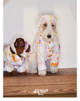 Playful Circus Lounge Pet Set