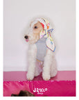 Little Artist Pup Vest