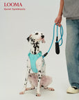 Waterproof Adjustable Pet Harness with Leash